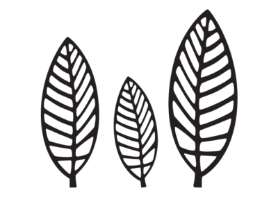 Leaf Pattern